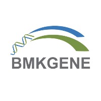 Company brand